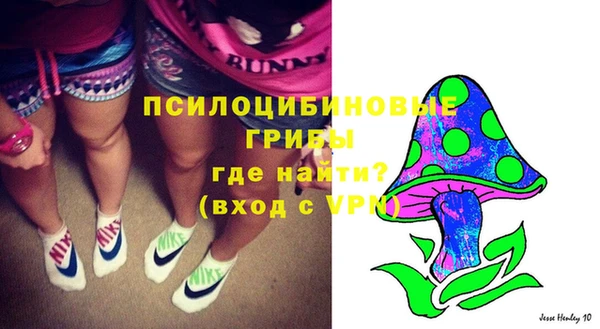 PSILOCYBIN Баксан