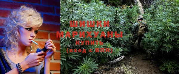 PSILOCYBIN Баксан